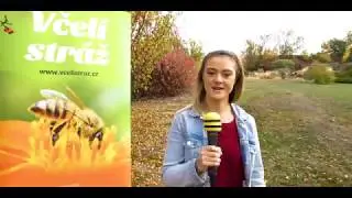 Education of Beekeeping Instructors