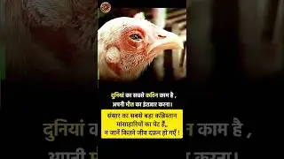 stop eating animal meat #shorts#pets#animals #cute#cuteanimal #animallover #birds #chicken #sad #pet