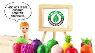 What is the GOTS and OCS certification? Real Organic Reusable Pads