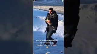 The cat&rsquo;s first time seeing snow ❄️ 🐱#funnycats #catlovers #pets #animals