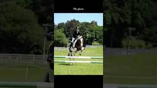 Love the photo!! but my face loll!! 🤣 || #horse #jumping #photo #show ||