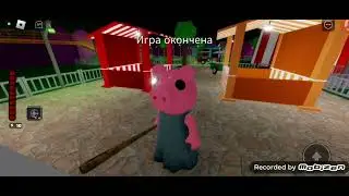 Пиги 🐽🐽🐽