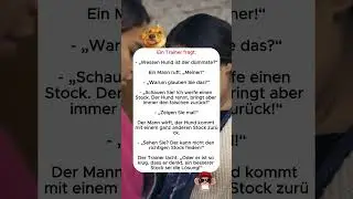 😂😂Hundeschule und der falsche Stock: 