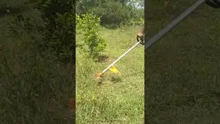 #homegarde#shortsvideo #new #smart #village #cutter #use