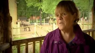 60 jaar Bellewaerde - Margriet Hermans