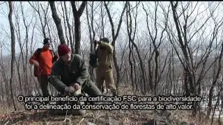 FSC nas florestas do extremo leste da R&uacute;ssia