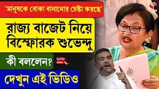 WB Budget | Suvendu Adhikari |&lsquo;মানুষকে বোকা বানানোর চেষ্টা করছে&rsquo; রাজ্য বাজেট নিয়ে বিস্ফোরক শুভেন্দু
