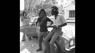 Peter Tosh [Live at Beacon Theatre 1976] (Cleaner SBD) (Full Audio)