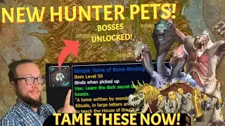 DON'T MISS! New Boss Pets for Hunters UNLOCKED for the War WIthin Prepatch World of Warcraft