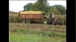 Maïs in de 90s