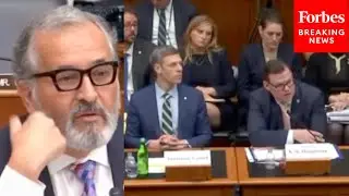 'How Many Of You Guys Believe In Climate Change?': Juan Vargas Grills Witness Panel