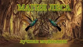 Magic of the Forest, Магия Леса