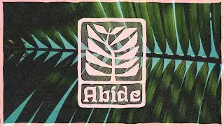 Abide | Gratitude on Wednesday