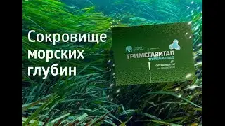 Эксперт Юрий Гичев   Тримегавитал  ДГК Суперконцентрат