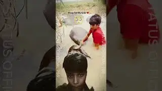 Pakistan Flood 2025 🌊 | Latest Update | Flood Disaster Newd#pakistan #flood #2025
