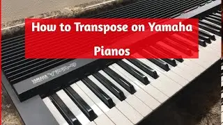 How to Transpose on Yamaha Pianos &ndash; YPR, P Series, and NP Series
