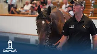Tattersalls July Sale Day 3 2025 Review