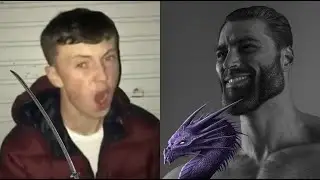 Moonveil Fan vs Dragon Enjoyer