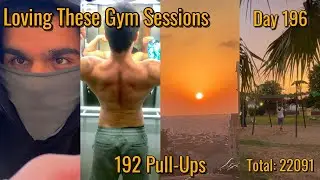 Pull-Up World Record Day 196 - 192 Pull-Ups |