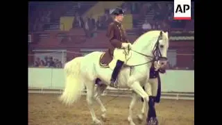 SPANISH RIDING SCHOOL - HORSE OF THE YEAR SHOW  - COLOUR - NO SOUND