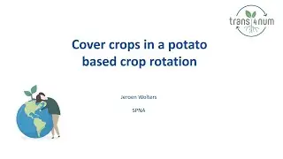 Cover crops in a potato based crop rotation