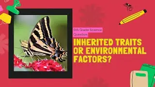 Inherited Traits vs Environmental Factors: 5th Grade Science, STAAR Test Question, TEKS 5.10(B)