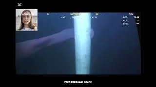 Pyrosomes: The Living Underwater Cities of the Sea