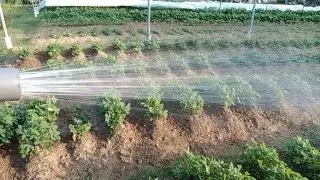 Homemade Sprinkler Produces Extreme Water Pressure When Irrigation