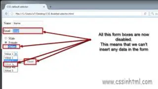 CSS :disabled selector