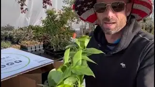 Live Plant Unboxing