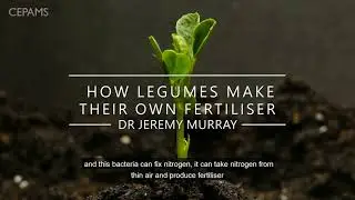 Interview with CEPAMS Group Leader Dr Jeremy Murray