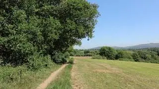 Henfield Commons and Lydds