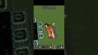 fox in end portal #minecraft