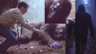 He Recorded Bigfoot Sleeping. When It Opened Its Eyes, Everything Changed&hellip; - Sasquatch Story