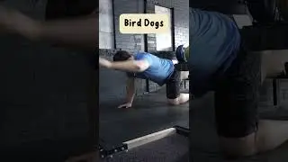 F**k Planks