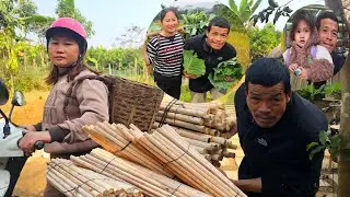 I Prepared Tons of Wood to Build a Fence Around Our Home &ndash; Will Grandpa Support Me?