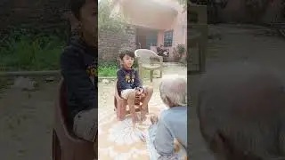 baba pota ke lollipop 🍭 #shorts ,#viral ,#maithili ,#dalan,#lovestatus ,#grand