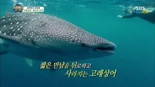 SBS [Закон джунглей] - В таинственном море .. Только сущность.