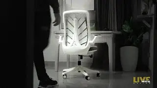The Unstoppable Chair | Monstera