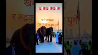 Welcome to Qatar🇳🇵🇶🇦🇳🇵🇶🇦🇳🇵🇶🇦 #krishnakhatri #tk2vlog #nepal #elephant