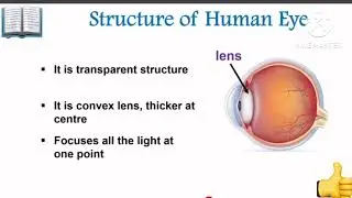 structure of human eye&hellip;&hellip;&hellip;&hellip;&hellip;.  👀 (structure and working of human eye)&hellip;&hellip;&hellip;&hellip;&hellip;.👁