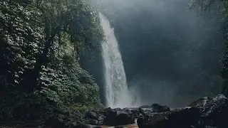 The Philippines x Bali | Tropics