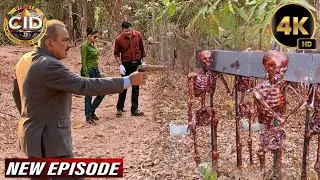 CID को जंगल में मिला 100 साल पुराना चलता-फिरता कंकाल | CID New Episodes 2026
