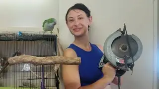 Making a Training Perch