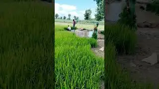 #anilkumar #anil #nature