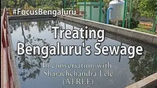 #FocusBengaluru: Treating  Bengaluru's Sewage