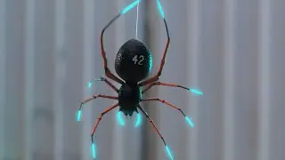 Miles Morales gets bit by a Spider&hellip; IN REAL LIFE!