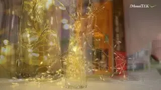 GPCT2094 - 2M 100 LED Fairy String Lights Copper Wire w/Remote Control Party Xmas Decore Lights