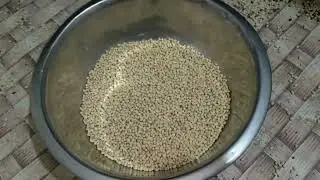 urad gota - sortex machine