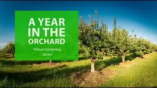 Virtual Gardening Series: A Year in the Orchard